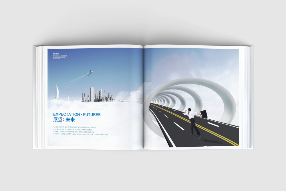 尖山区画册设计